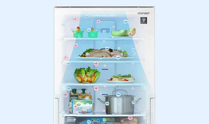 冷蔵室 | SJ-P410M | 冷蔵庫：シャープ