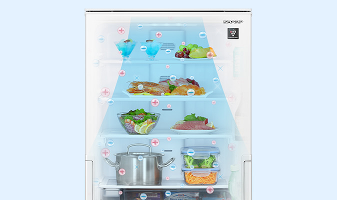 冷蔵室 | SJ-PW37K | 冷蔵庫：シャープ