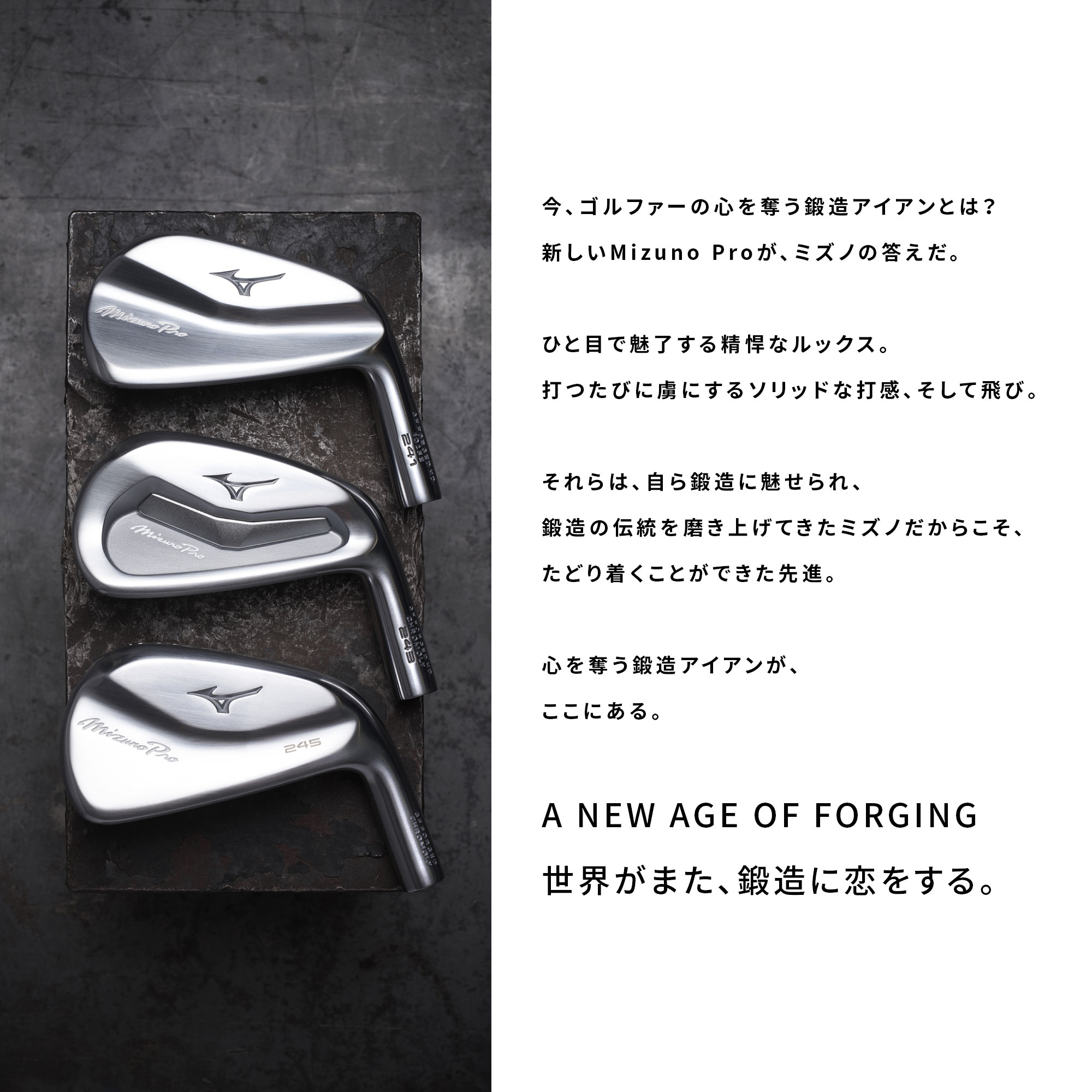 Mizuno Pro 245 アイアン 6本組(No.5～9、PW)(Dynamic Gold 95