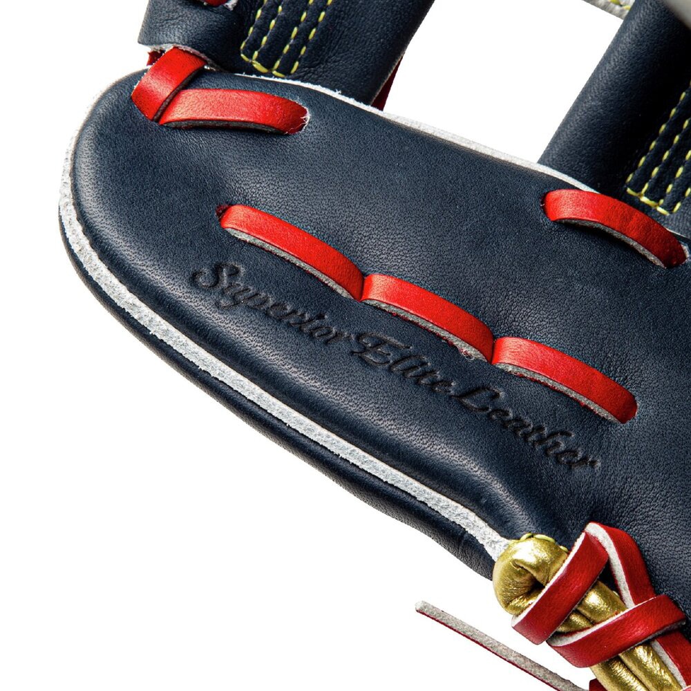 軟式用【ミズノプロ】勝色コレクション【内野手用／サイズ9