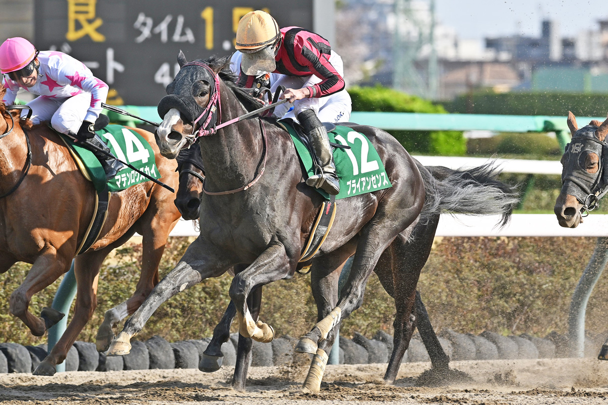 フェブラリーステークス2026 有力馬情報｜G1特集｜競馬情報ならJRA-VAN