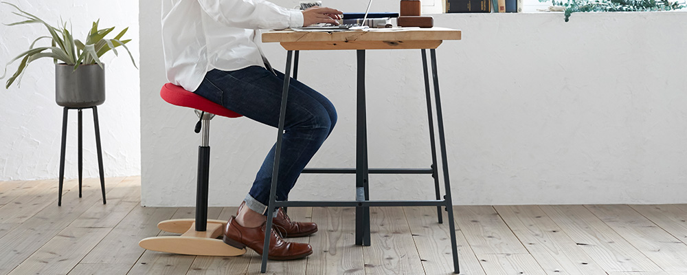 腰痛対策椅子・バランス シナジー - 家具のカネサキ