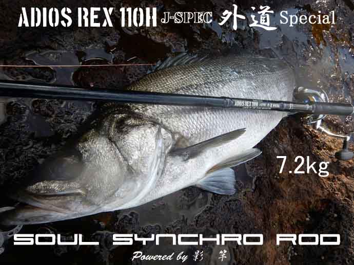 ADIOS REX 110H J-spec 外道Special 影竿