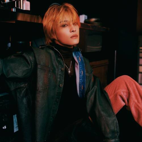 YANG-500x500.jpeg
