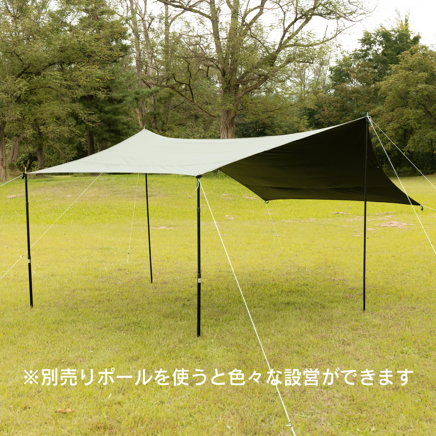 ミニヘキサゴンタープ ブラックコーティング【テント・タープ】 | 株式