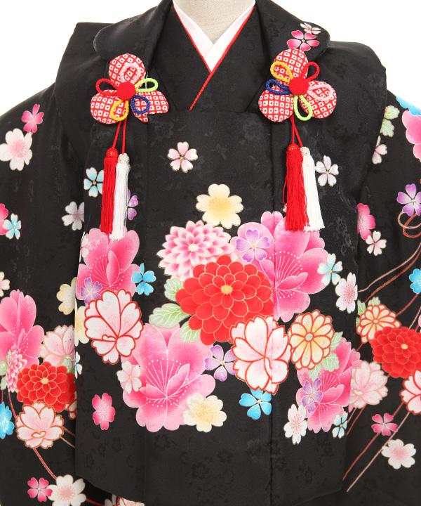 七五三(三歳女の子)着物レンタル｜菊桜柄黒色着物×黒色被布｜W-G-3-160