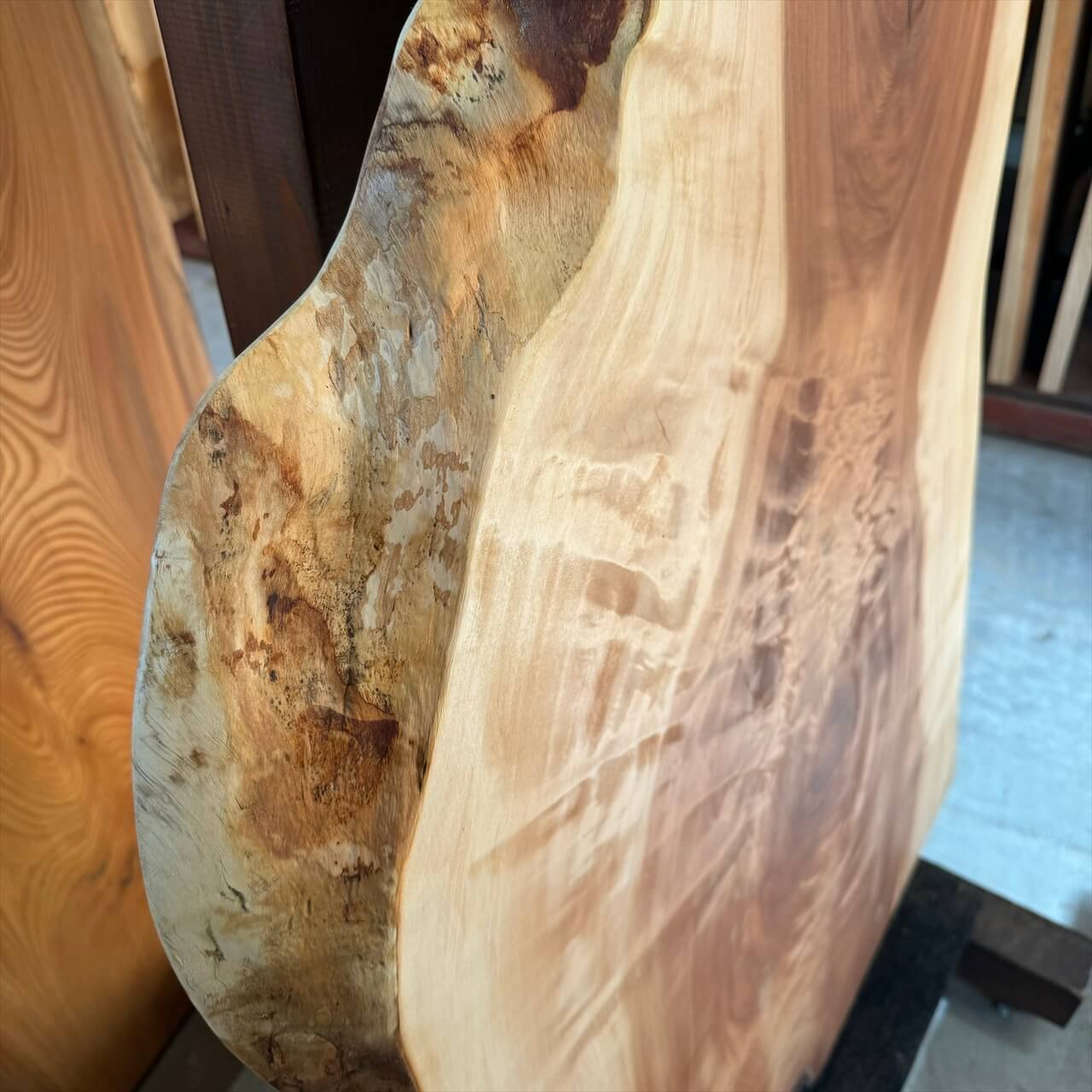 トチ一枚板 1700×590~900×52㎜【オイル塗装 仕上げ済み】 | 一枚板x