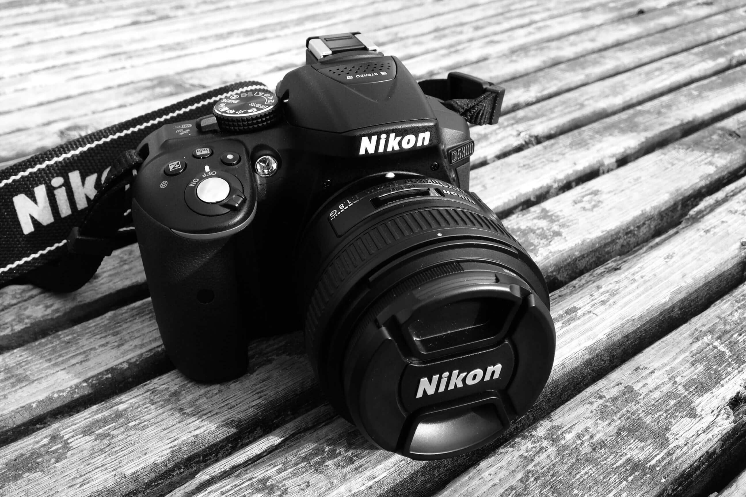 僕とNikon」の歩みについて。あるいは、僕がおすすめするニコンの名機