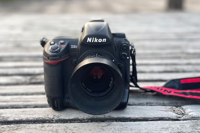 Nikon D3SとNikon Zfを行き来する幸福。｜記憶カメラ