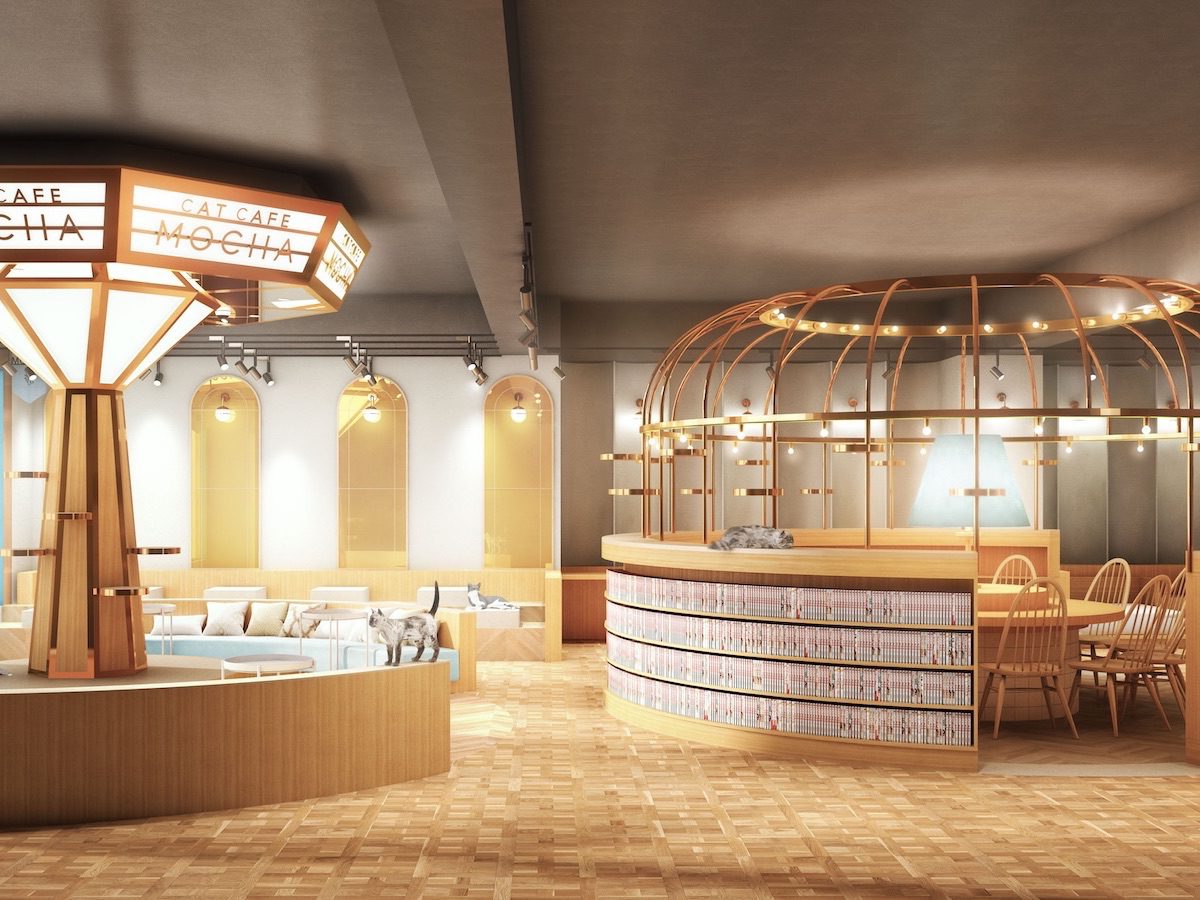 吉祥寺にPC作業可、マンガ読み放題の「猫カフェMOCHA」がオープンへ