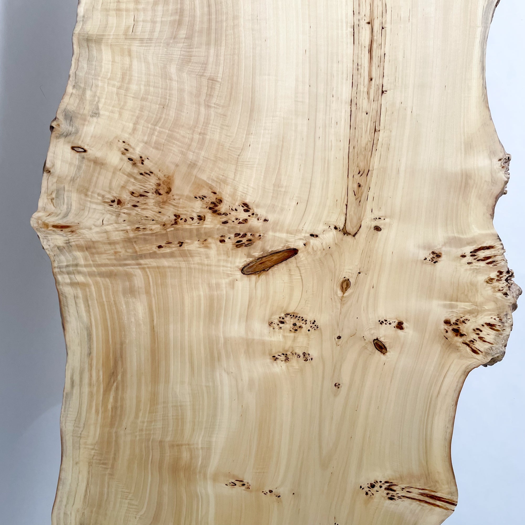 KIDOMEIMOKU ポプラ一枚板ダイニングテーブル｜180cm(6人掛け