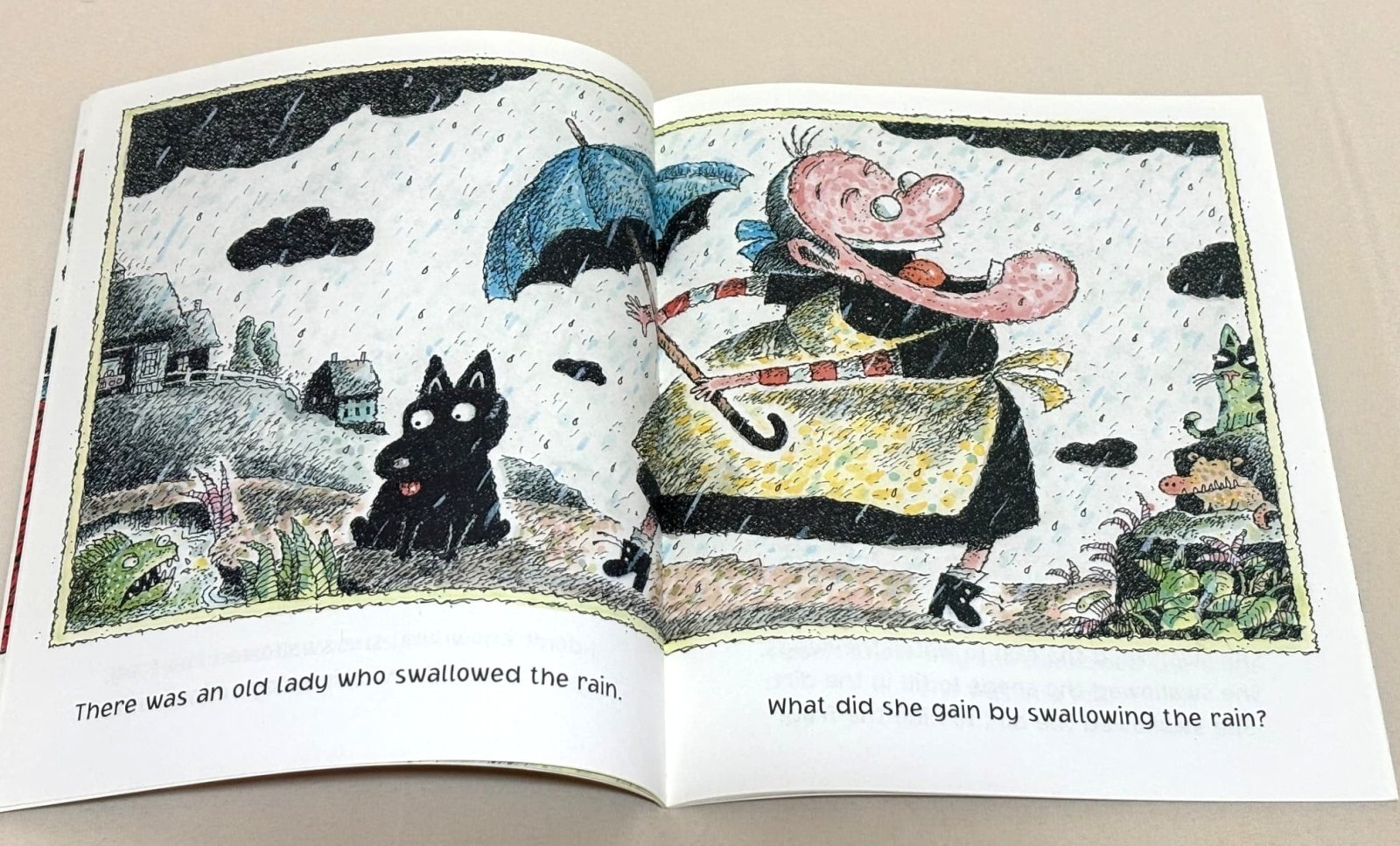 英語絵本】There Was an Old Lady Who Swallowed a Frog!｜春・庭