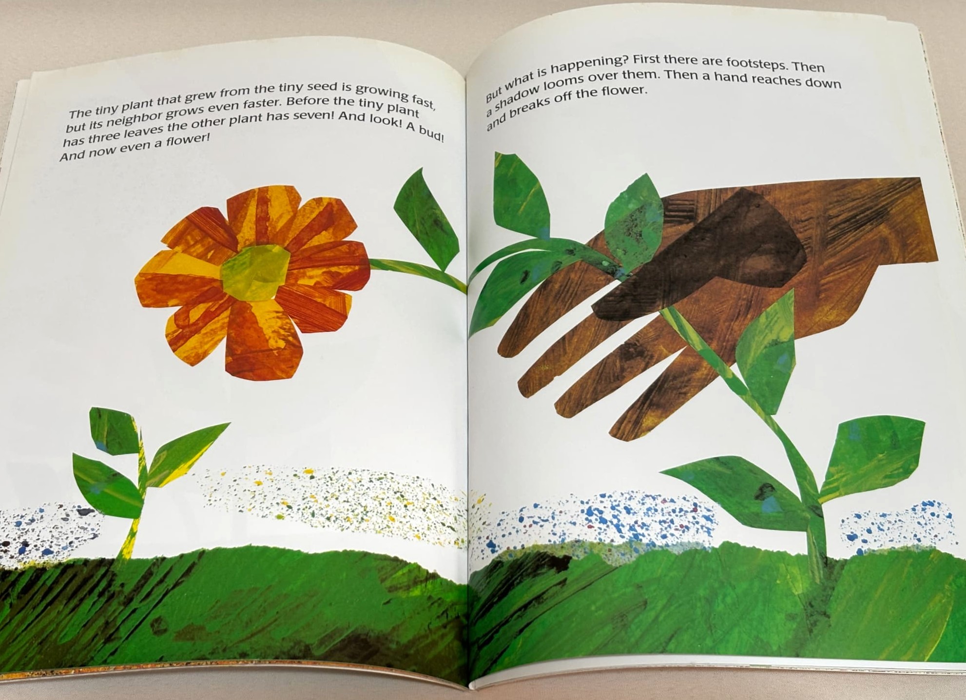 英語絵本】The Tiny Seed（Eric Carle）｜成長と季節を描く