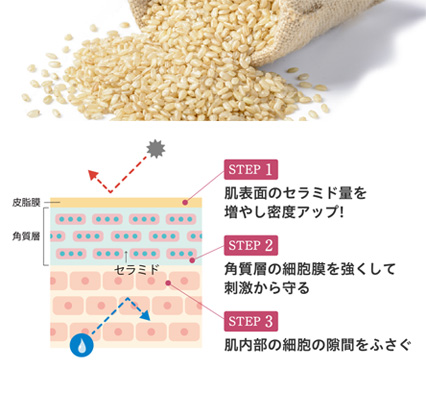 WHITE VEIL | PRODUCT ホワイトヴェール モイスト