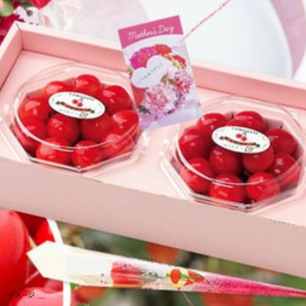 山形県産「母の日 さくらんぼ 佐藤錦 L玉ダイヤパック」100gのお得通販