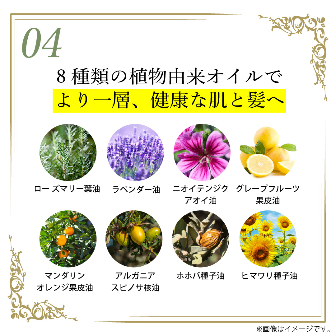 Kyogoku Professional / KYOGOKU CBD バーム 25g