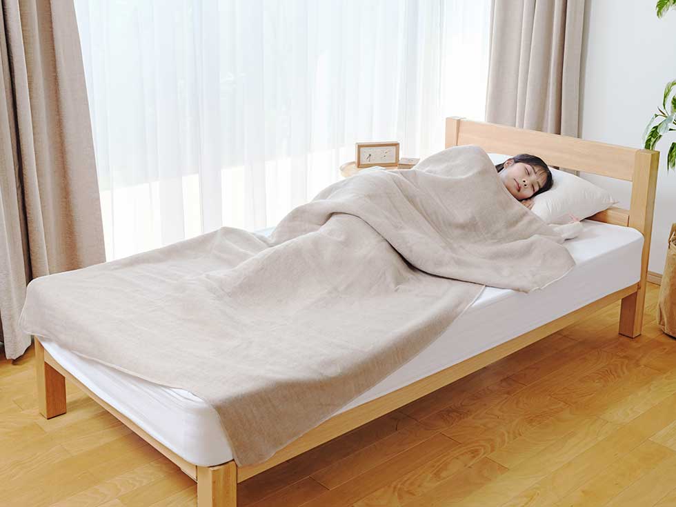 電気毛布（掛け敷き）電磁波カット188x120cmKDK-75256D | コイズミ