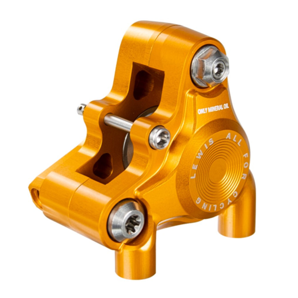 Lewis - BB2 SS Steel / BB2 Ti Road Gravel bike - flat mount