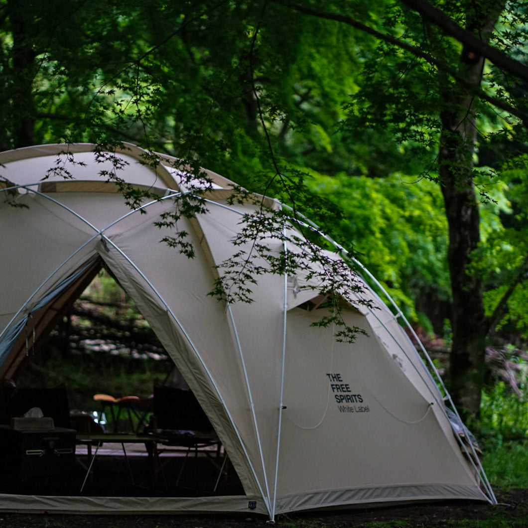 Robotech 70D Ivory – LOG