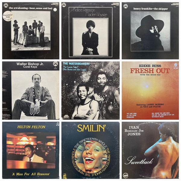 オンラインショップ購入ボタン設置しました！オンラインにてご購入