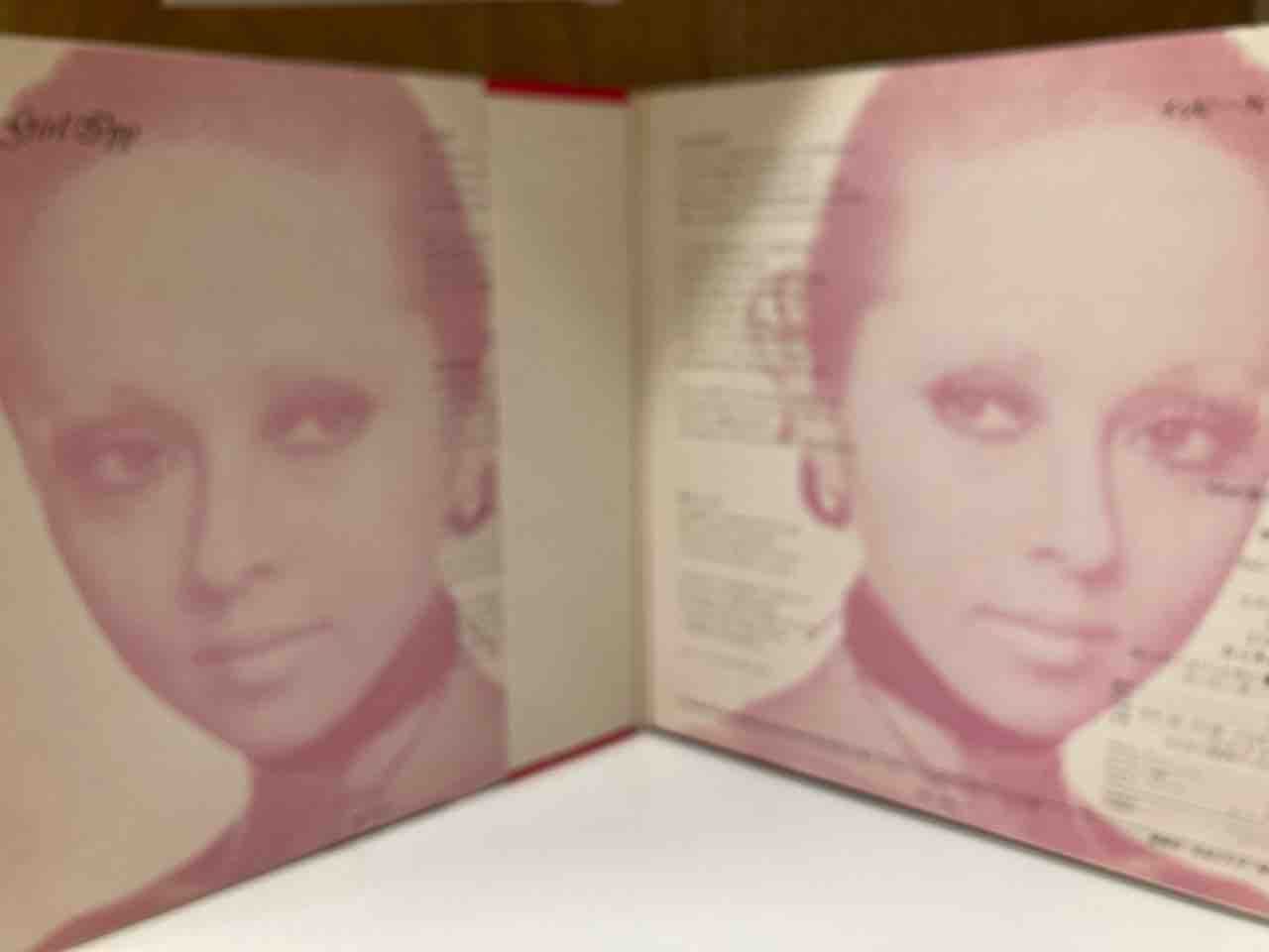 日本のロック・ポップス 廃盤中古レコード入荷情報！美麗ジャケ多数の