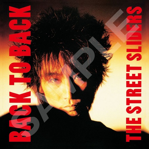 邦楽 THE STREET SLIDERS /CD/ROX IN THE BOX Amazon.co.jp: ロックス・イン・ザ・ボックス: ミュージック