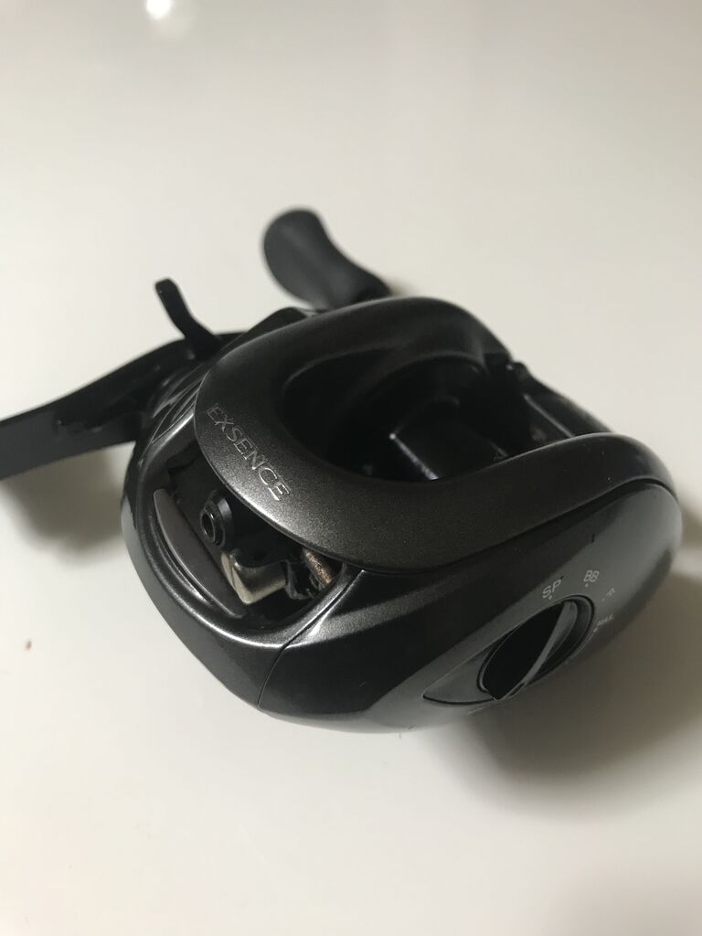 12エクスセンスDC : 特攻隊長さんの釣行記