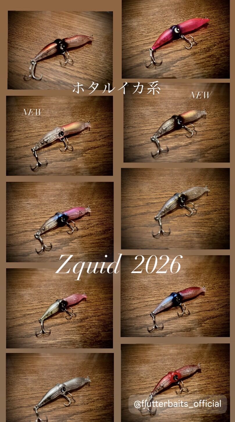 解説】ズィークイッドカラー選択について！ : フラッター日誌