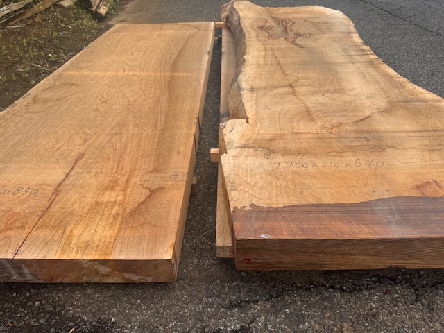 長マ）銘木けやき欅 ケヤキ 幅880他 巨大盤 貴重な乾燥材 杢 一枚板 耳