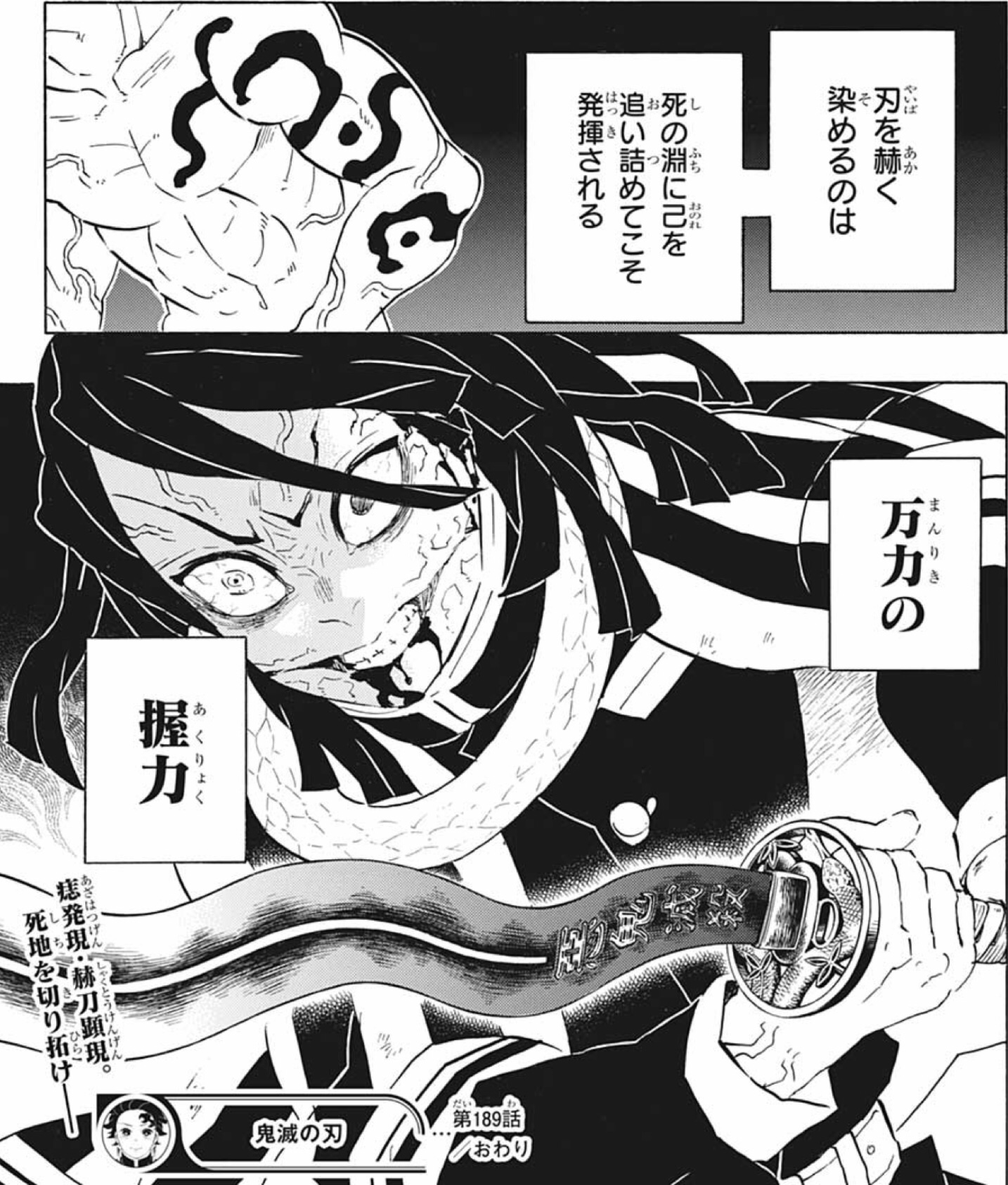 鬼滅の刃 第189話「心強い仲間」感想・考察