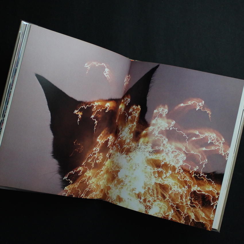 猫の麦わら帽子 / The Strawhat Cat - 深瀬 昌久 / Masahisa Fukase