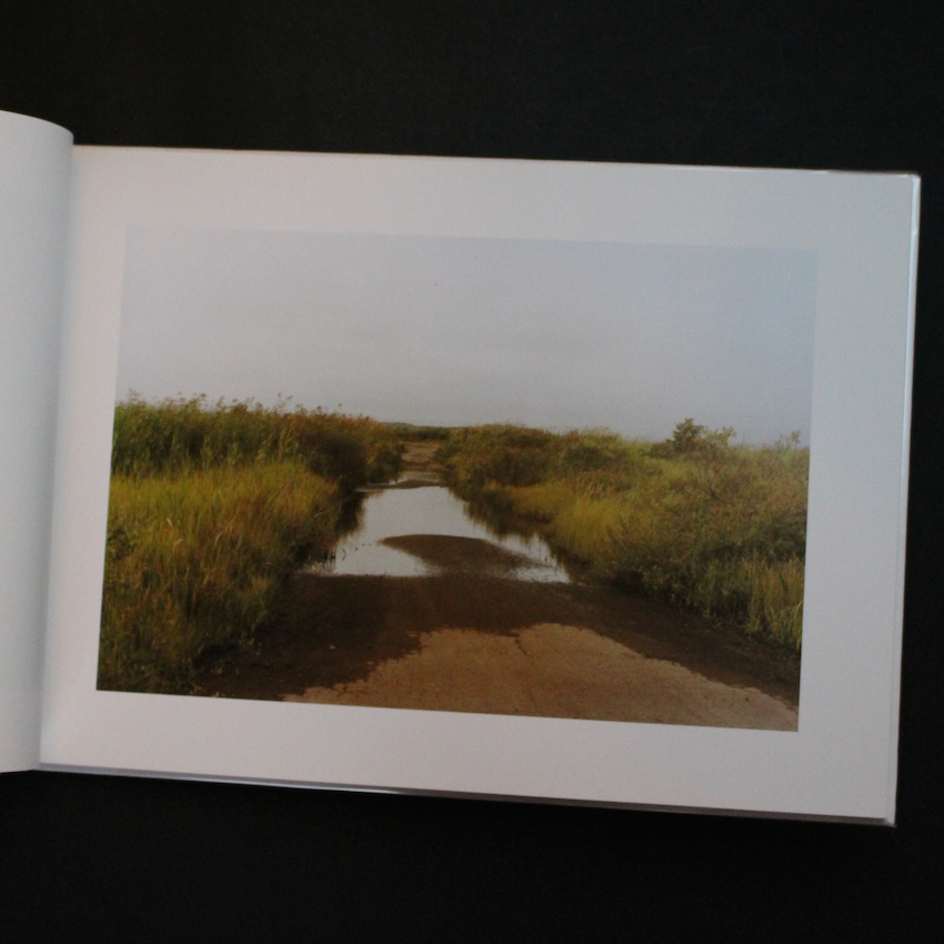 The Sign of Life - 清野 賀子 / Yoshiko Seino