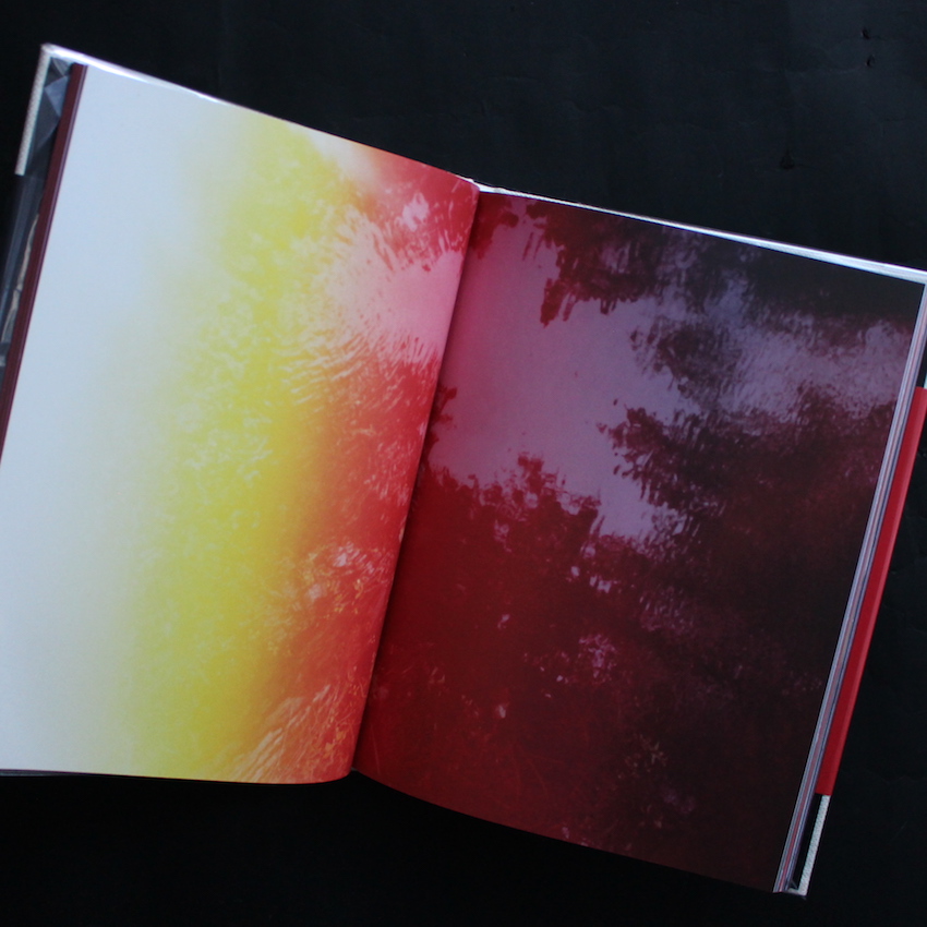 Abandom Reverie - Mark Borthwick