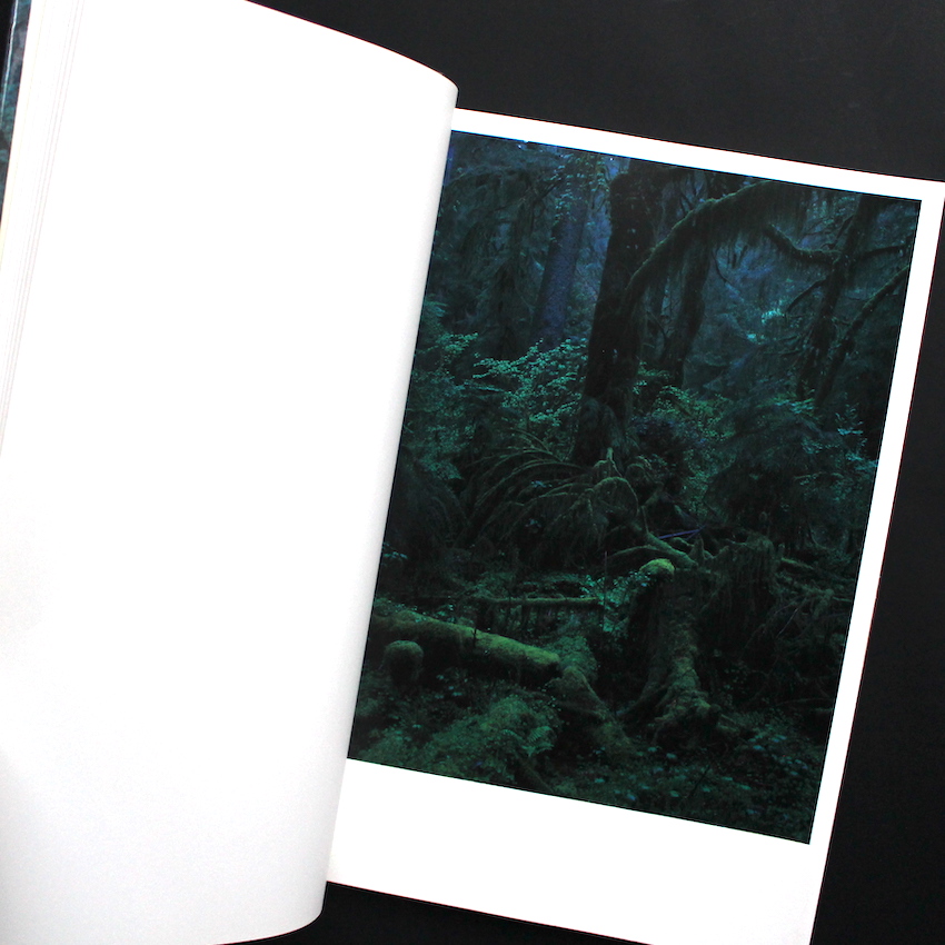 Quinault（Second Printing） - 上田 義彦 / Yoshihiko Ueda