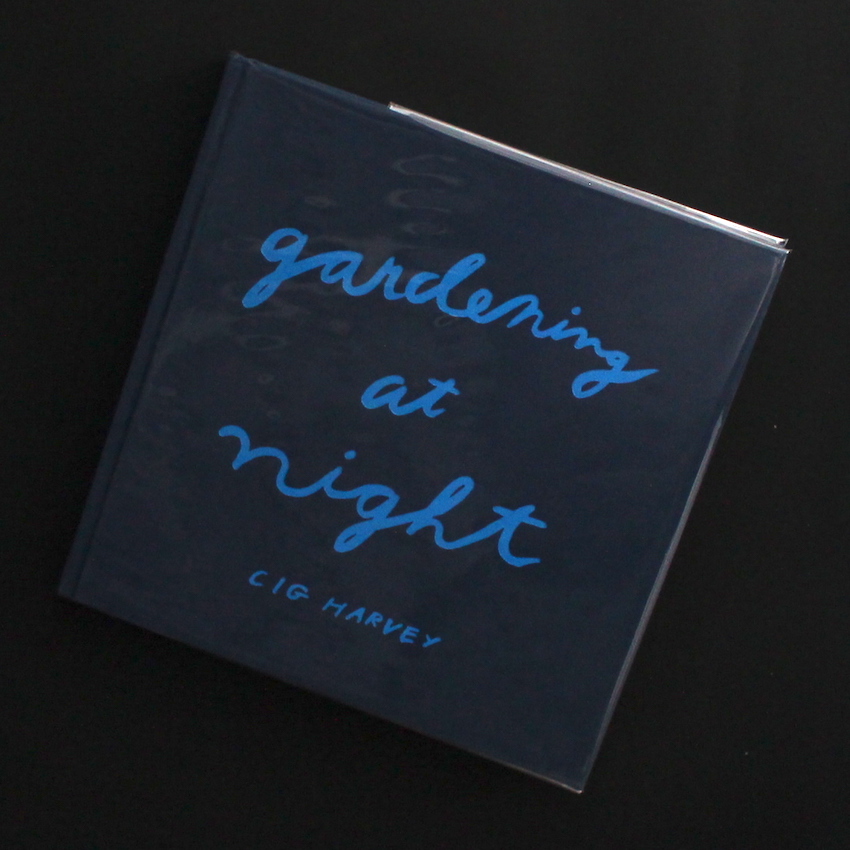 Gardening at Night - Cig Harvey