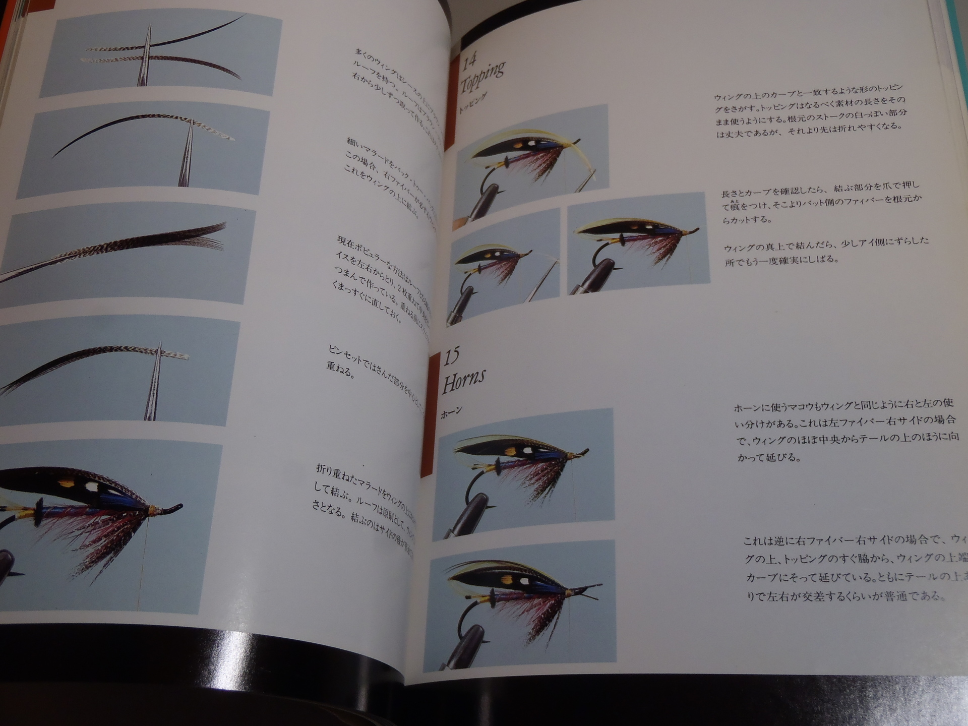 サーモンフライドレッシングー沢田賢一郎: フライフィッシング探求ー大
