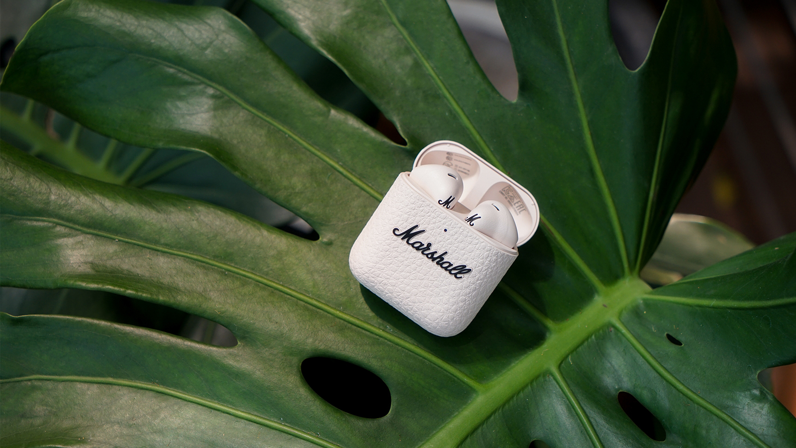 Our Honest Review of the Cream Marshall Minor IV