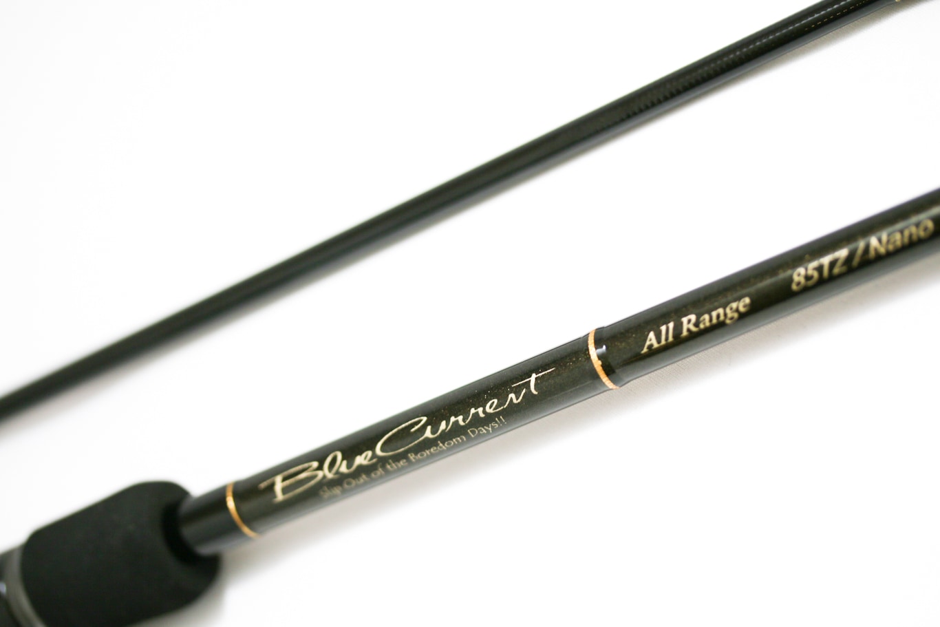 1_000000000119.jpg?1687504286