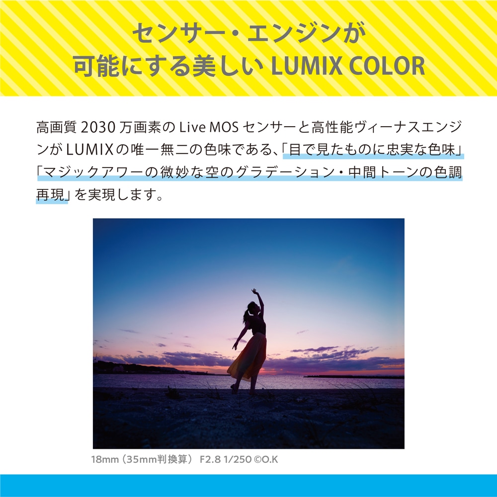 Panasonic LUMIX G100D Vキット 標準ズームレンズ トライポッド