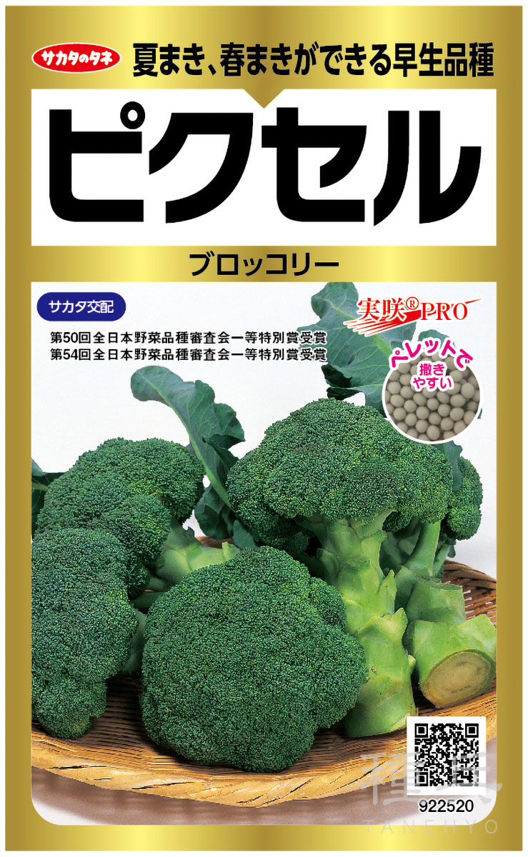 ブロッコリー 種 『ピクセル』 サカタのタネ | たね,葉菜の種