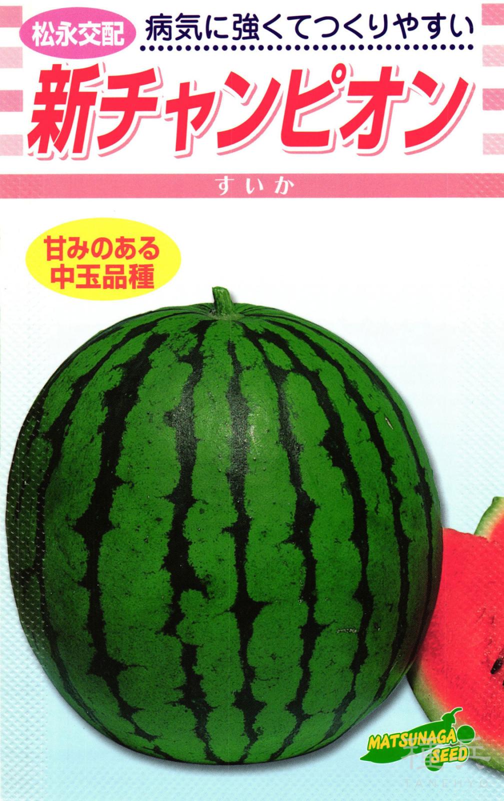 中玉スイカ 種 『新チャンピオン』 松永種苗 | たね,果菜の種,スイカ