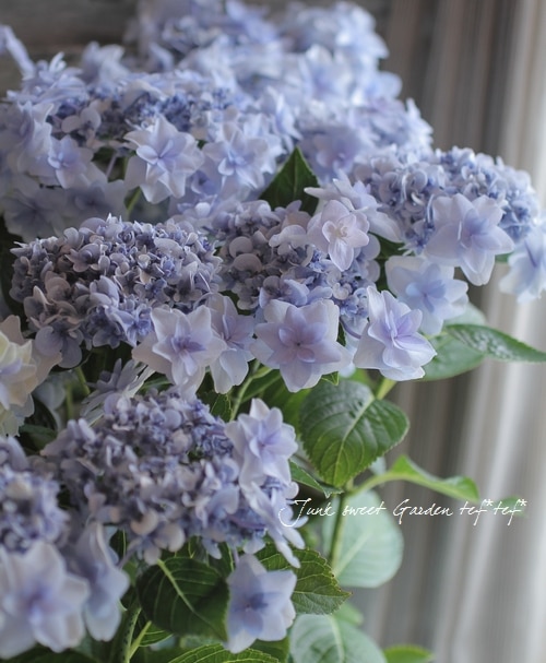 【完売】アルファベット イニシャル キャンドル 紫陽花 あじさい ウエディング 3個*イニシャルアロマワックスサシェ*あじさい - IVORY-CANDLE'S