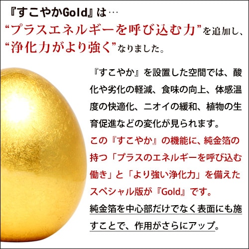 すこやか ポットGold 大【特典付き】｜トータルヘルスデザイン公式
