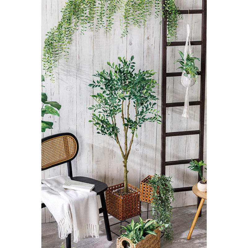 インテリアグリーン FW186-PU653/944L トネリコ WH if HOMEの通販