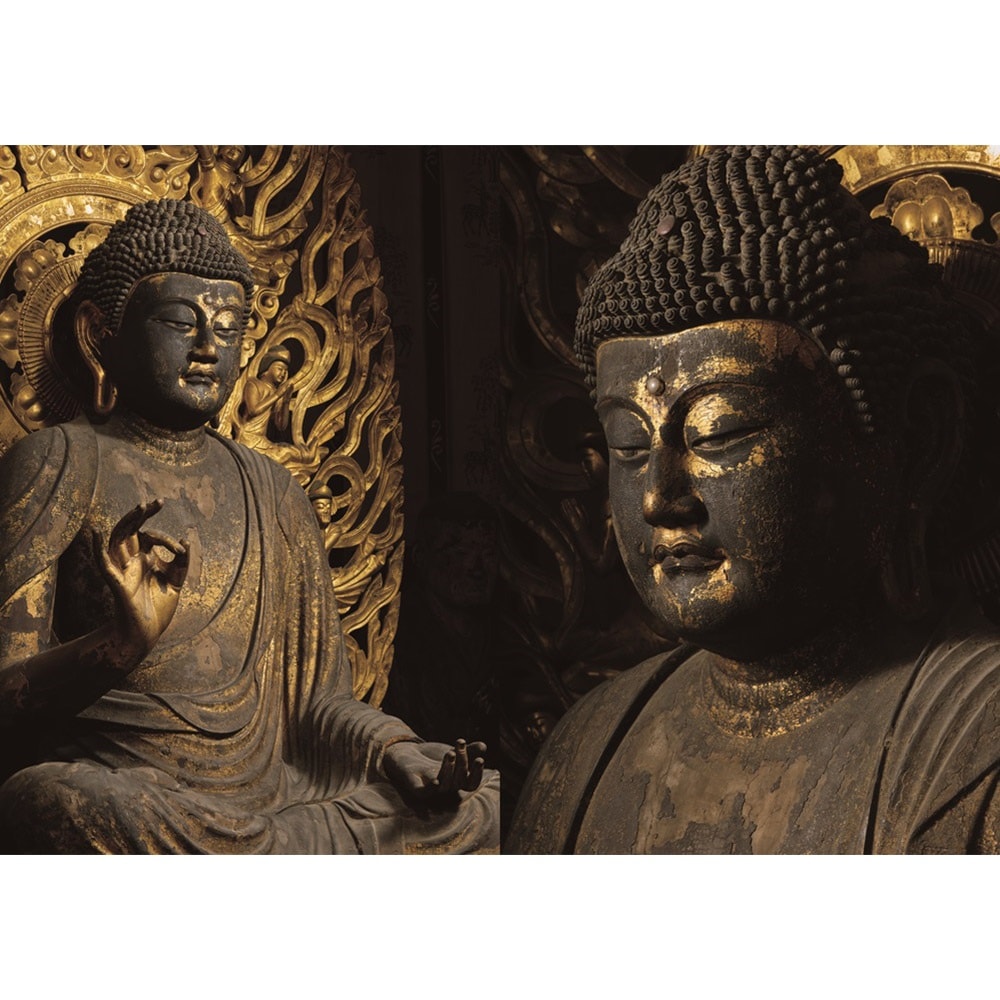 特別展 運慶 祈りの空間―興福寺北円堂【本編】 | 特別展図録 | 東京