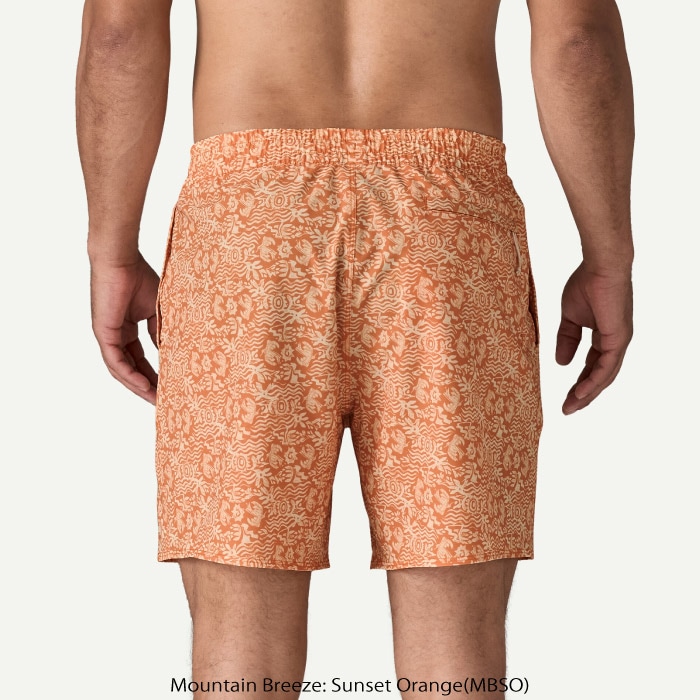 patagonia パタゴニア メンズ・ハイドロピーク・バレー・ショーツ 16