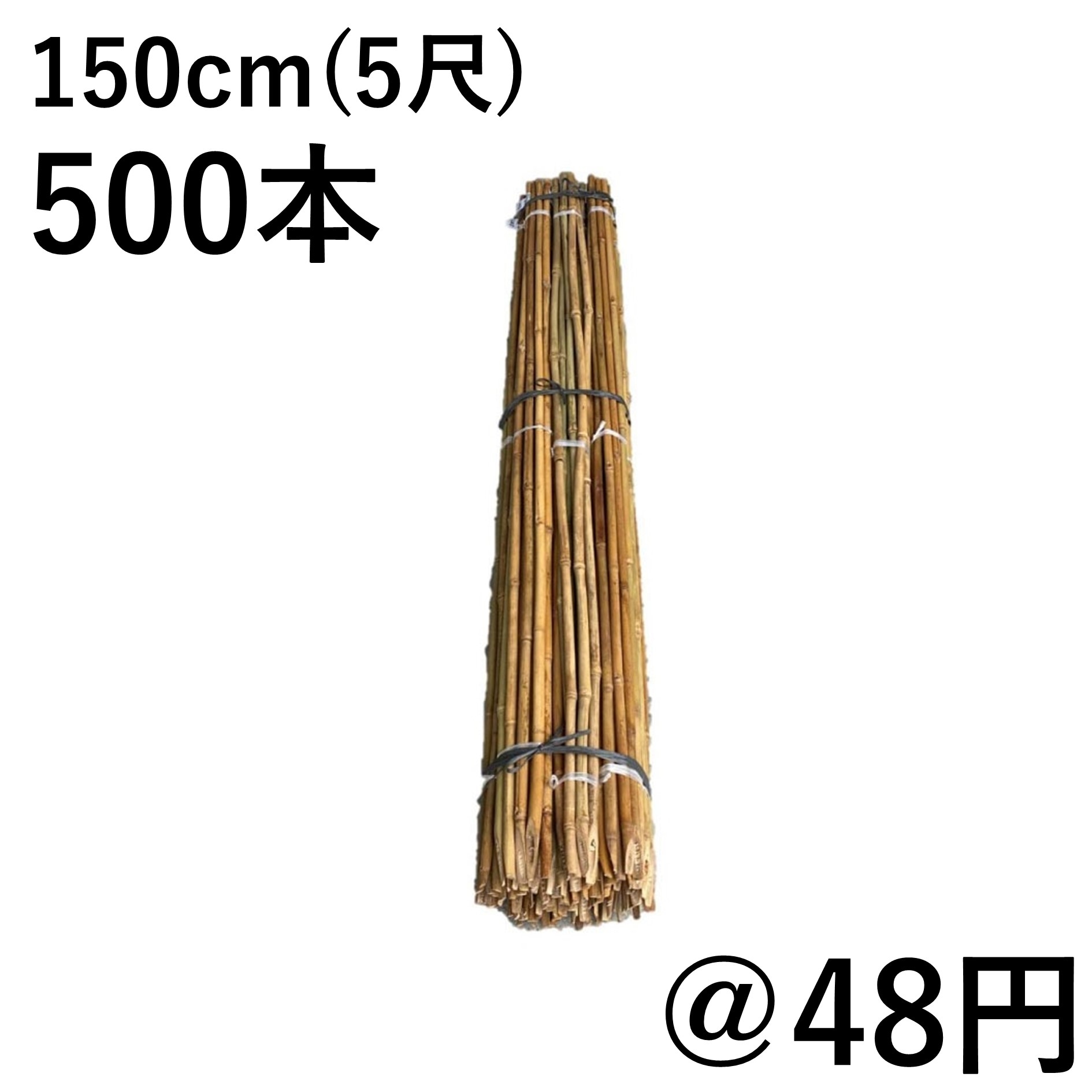 女竹 150cm（5尺）×500本 篠竹 農業用、園芸用の支柱など