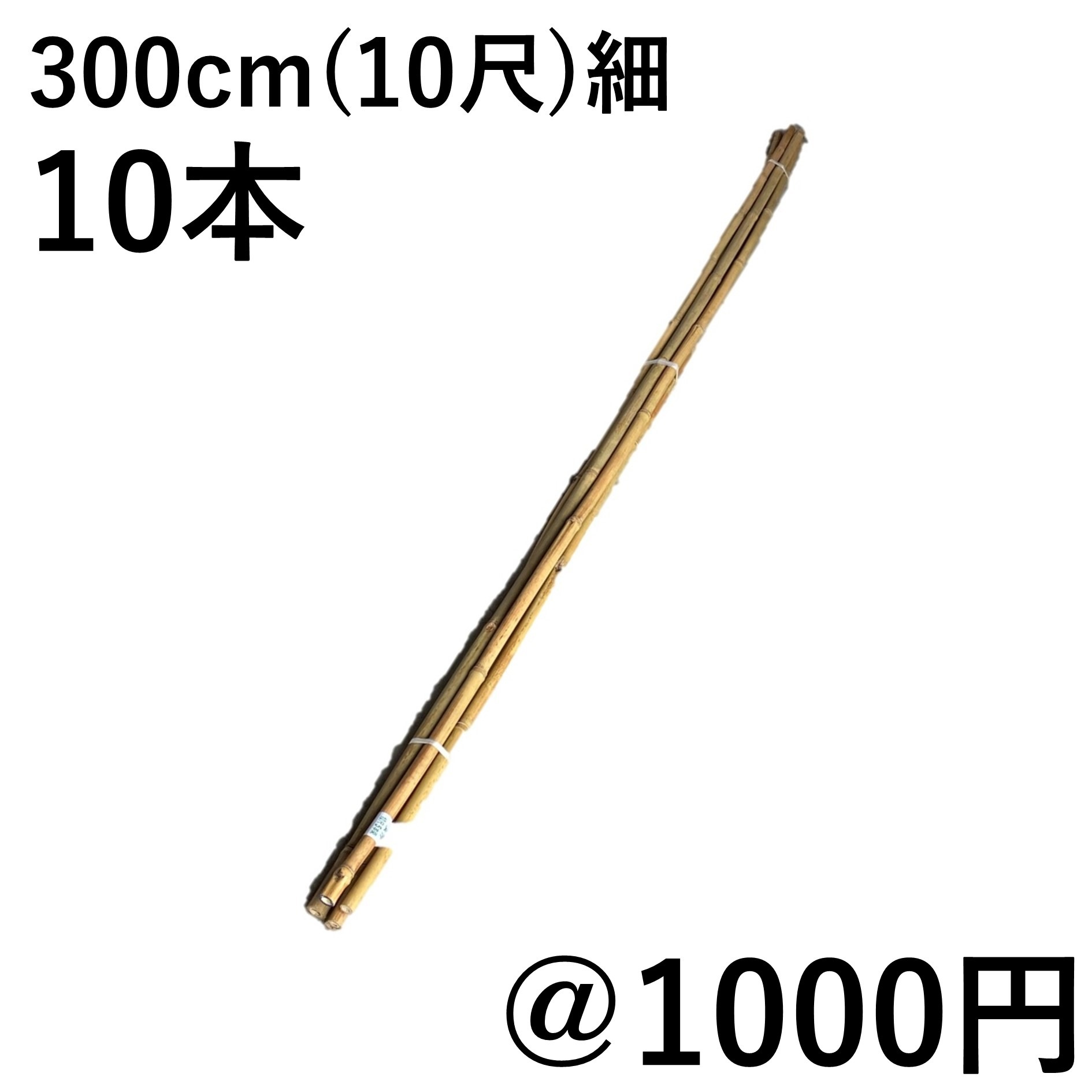 女竹 300cm（10尺）細 10本（カットなし） 篠竹 農業用、園芸用の支柱