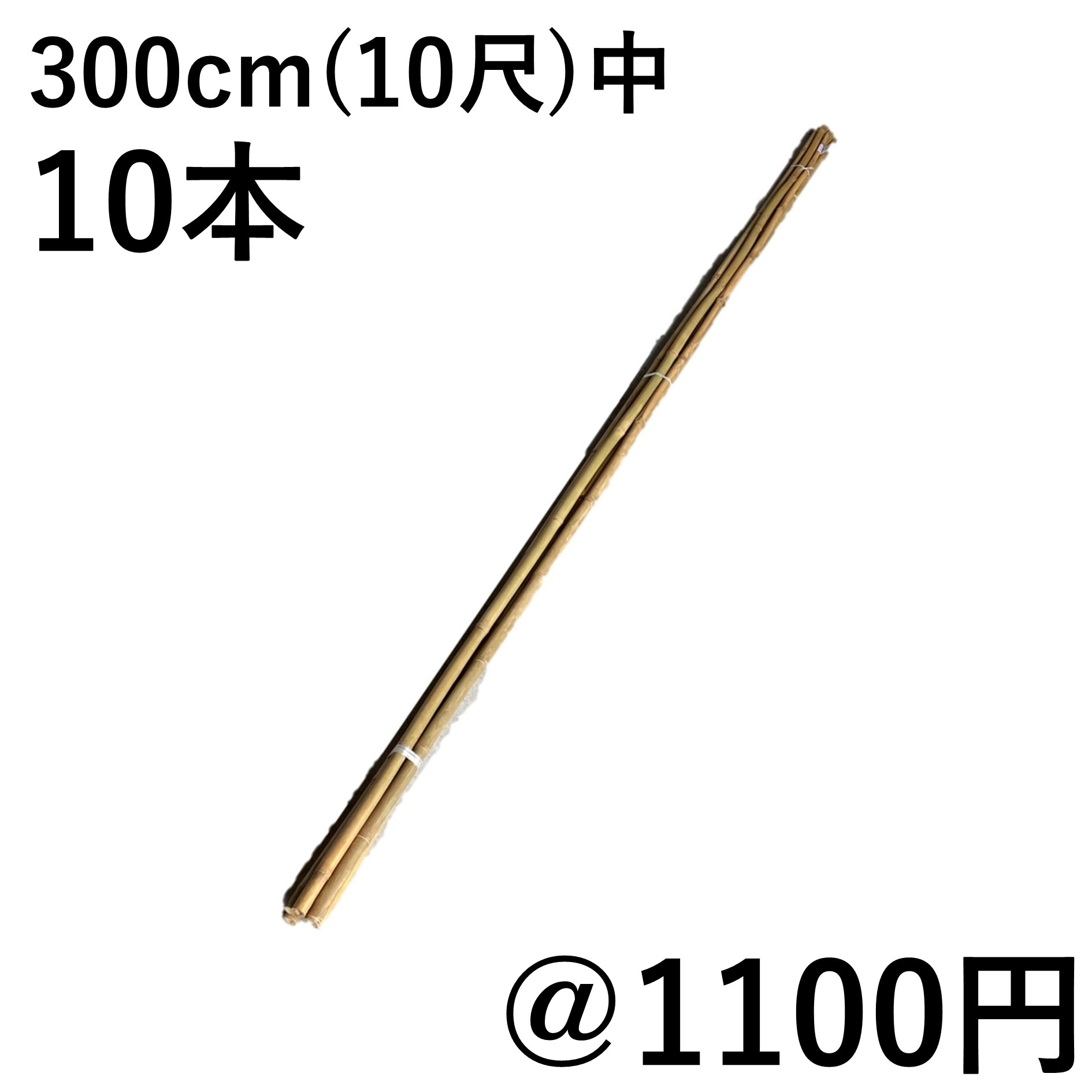女竹 270cm（9尺） 10本 篠竹 農業用、園芸用の支柱などに 竹 支柱