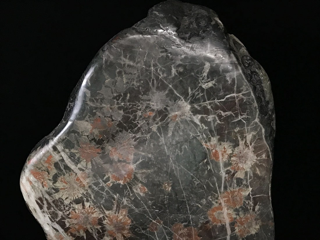 岐阜県根尾谷産 菊花石 (木製台座付き)